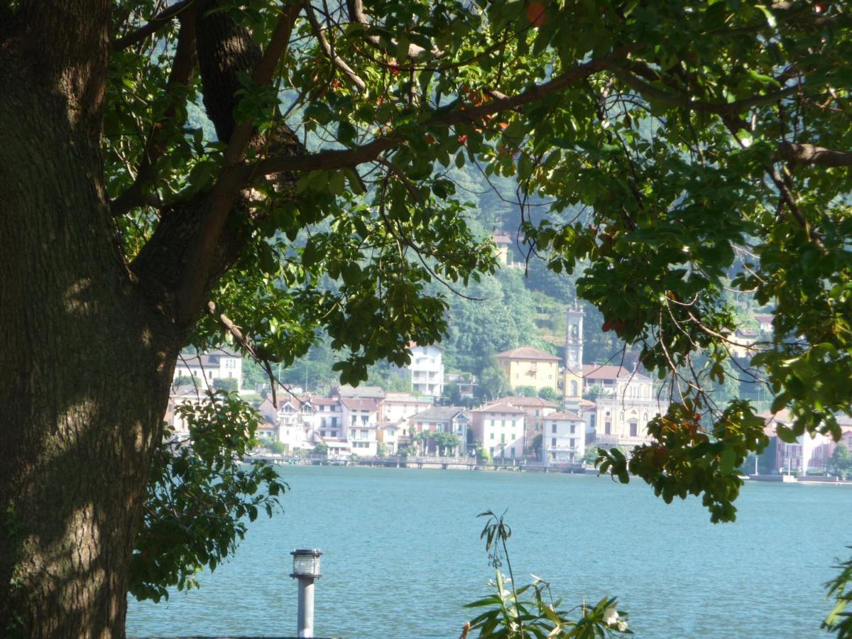 Ville Lago Lugano Porto Ceresio Bagian luar foto