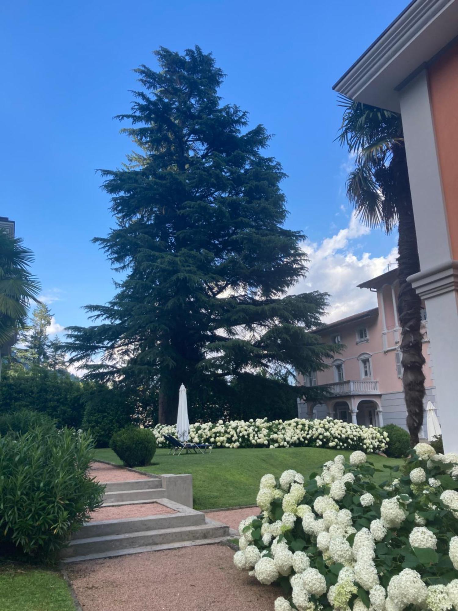 Ville Lago Lugano Porto Ceresio Bagian luar foto